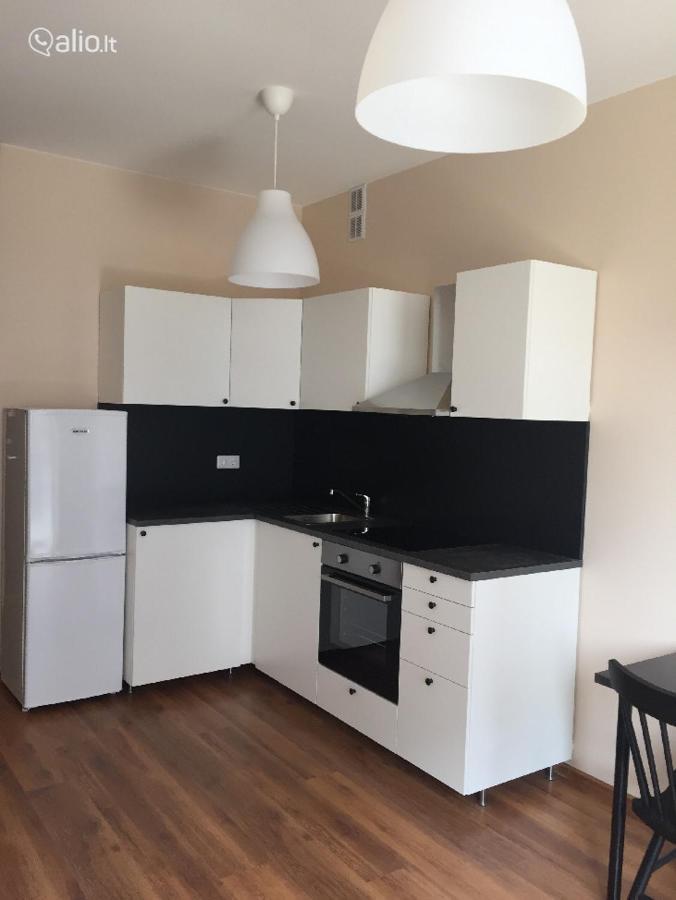 Close To Panorama Center Apartment Self Check-In Garage Free VNO Buitenkant foto